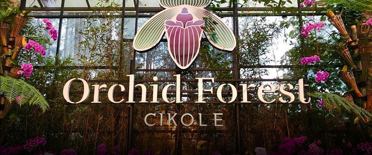 Banner Orchid Forest Cikole