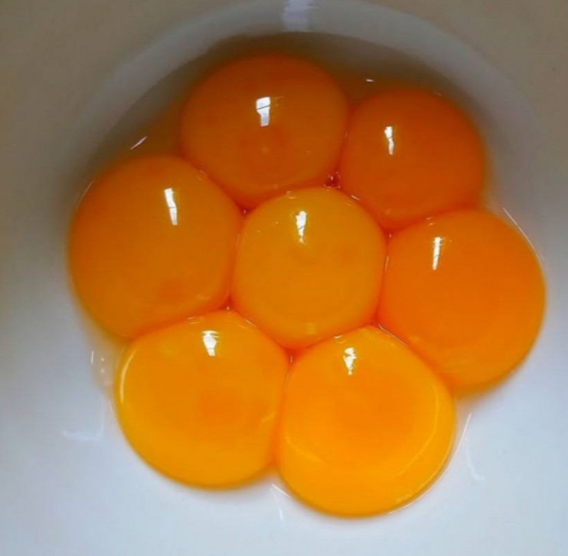  Kuning Telur  Bagus untuk Kecantikan Wanita Simak Manfaatnya 