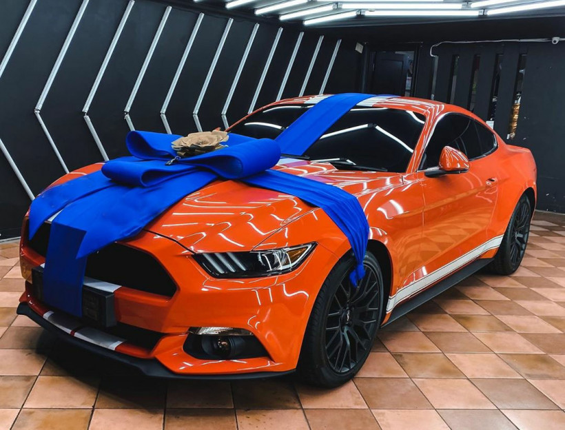 Ford Mustang  Shelby  Gt500  Harga  Sports Car Addict