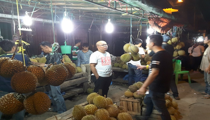 Unduh 560 Gambar Durian Palembang Paling Bagus 