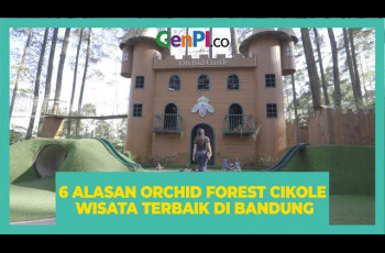 5 Alasan Orchid Forest Cikole Spot Wisata Bandung Terbaik