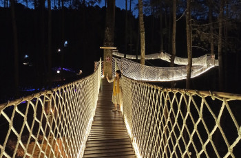 Wood Bridge Orchid Forest, Jembatan Ter-instagramable di Lembang